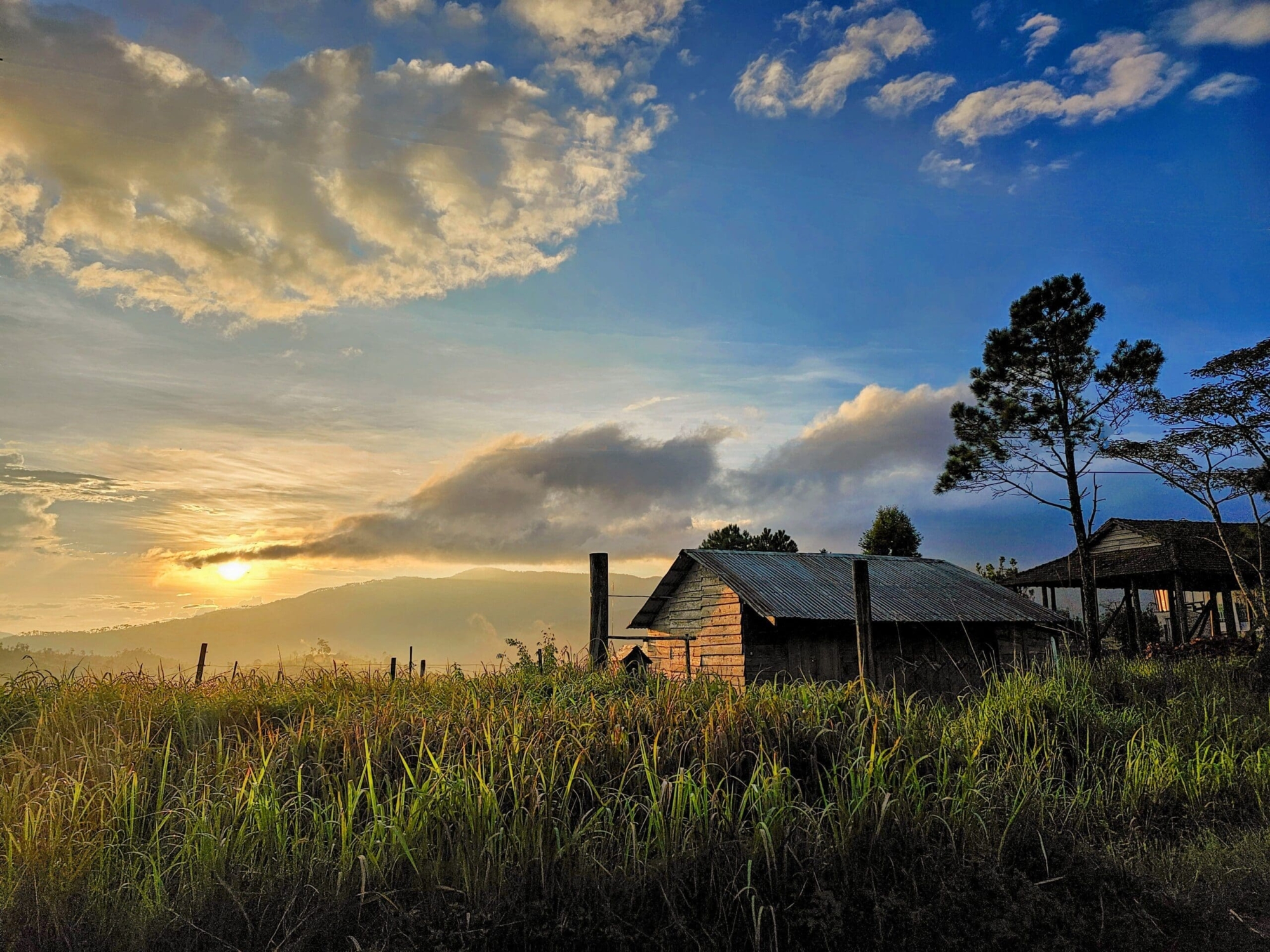 Khu 37 Hộ Măng Đen