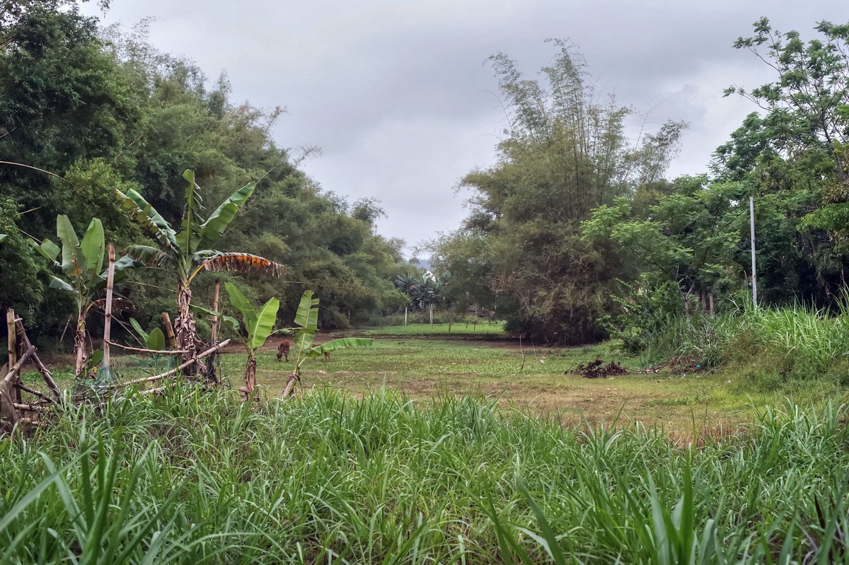 Khám phá Thành Cổ Châu Sa, di tích thành Champa duy nhất còn sót lại 10
