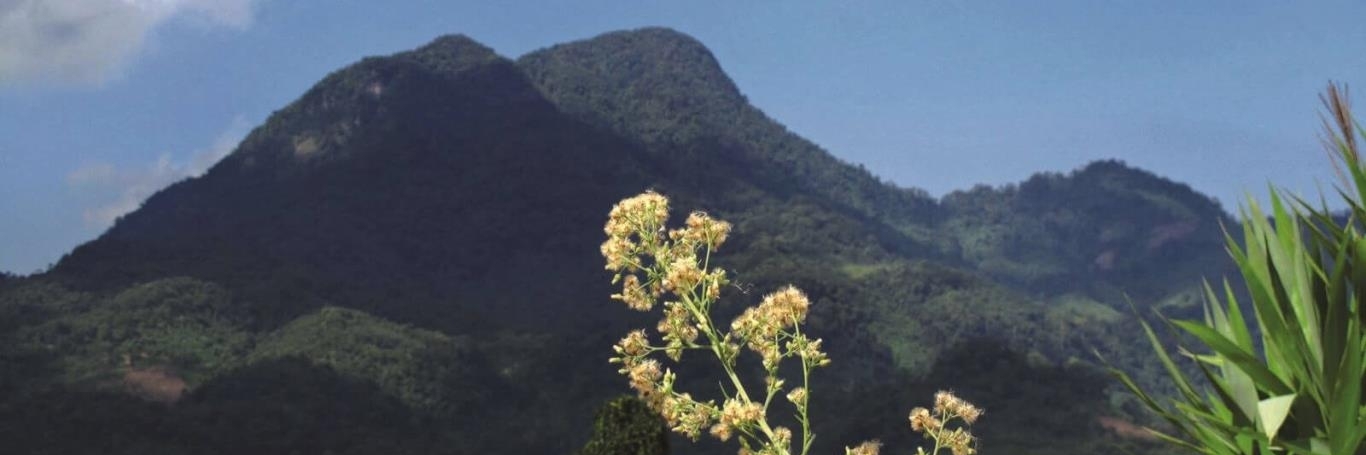 Núi răng cưa quảng ngãi - ảnh 2