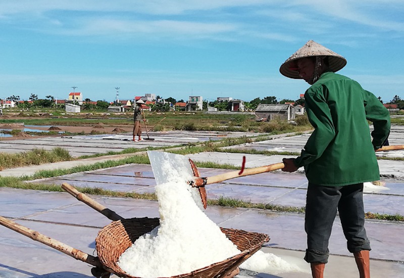 Cánh đồng muối Sa Huỳnh: Nét đẹp bình dị hơn 200 năm tuổi 11