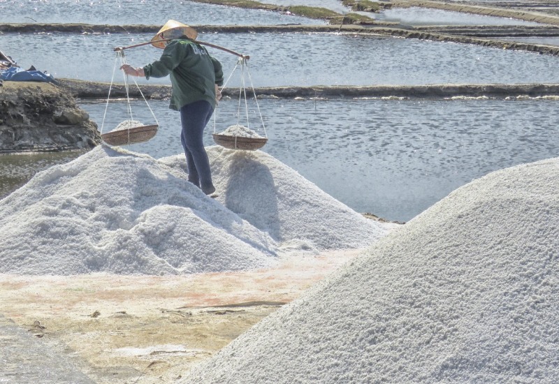 Cánh đồng muối Sa Huỳnh: Nét đẹp bình dị hơn 200 năm tuổi 1