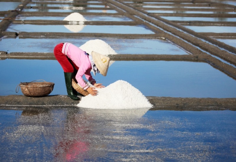 Cánh đồng muối Sa Huỳnh: Nét đẹp bình dị hơn 200 năm tuổi 7
