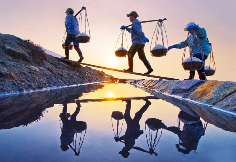 Cánh đồng muối Sa Huỳnh: Nét đẹp bình dị hơn 200 năm tuổi 3