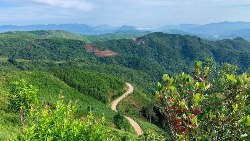 Cao nguyên Bùi Hui với rừng hoa sim tình tứ nơi xứ Quảng 10