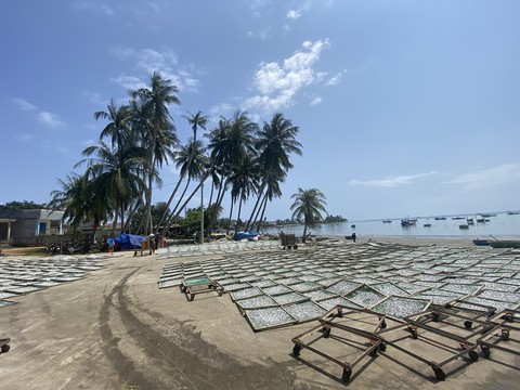 tinh ky -2