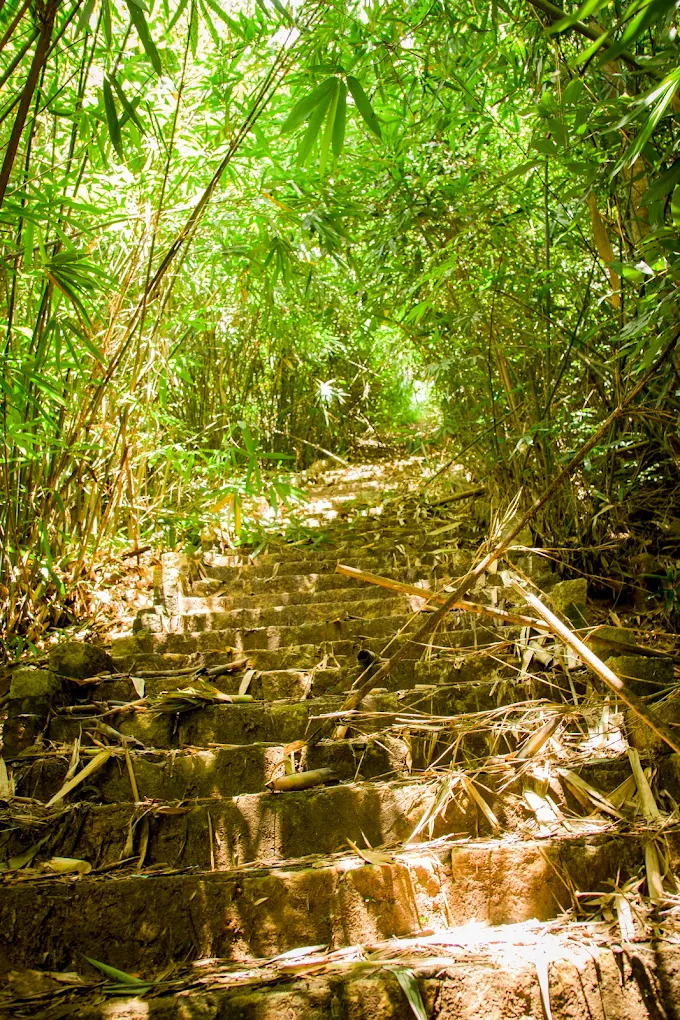 Bậc thang đá rêu phong – minh chứng cho một cung đường ít người biết đến.