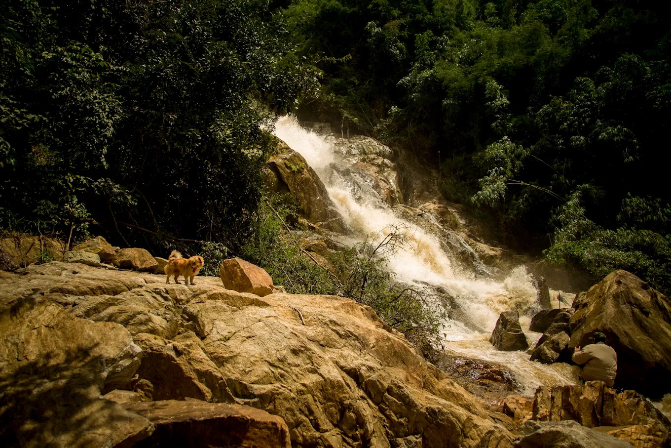 Tiếng thác đổ như tiếng rừng nói chuyện - hùng vĩ, dữ dội và mê hoặc.