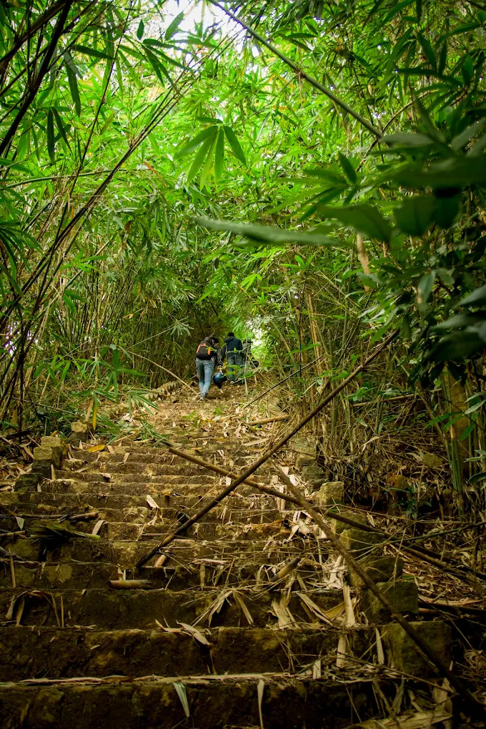 Lối đi vào thác phủ kín tre rừng - như dẫn ta vào một thế giới khác, tĩnh lặng và xanh mát.