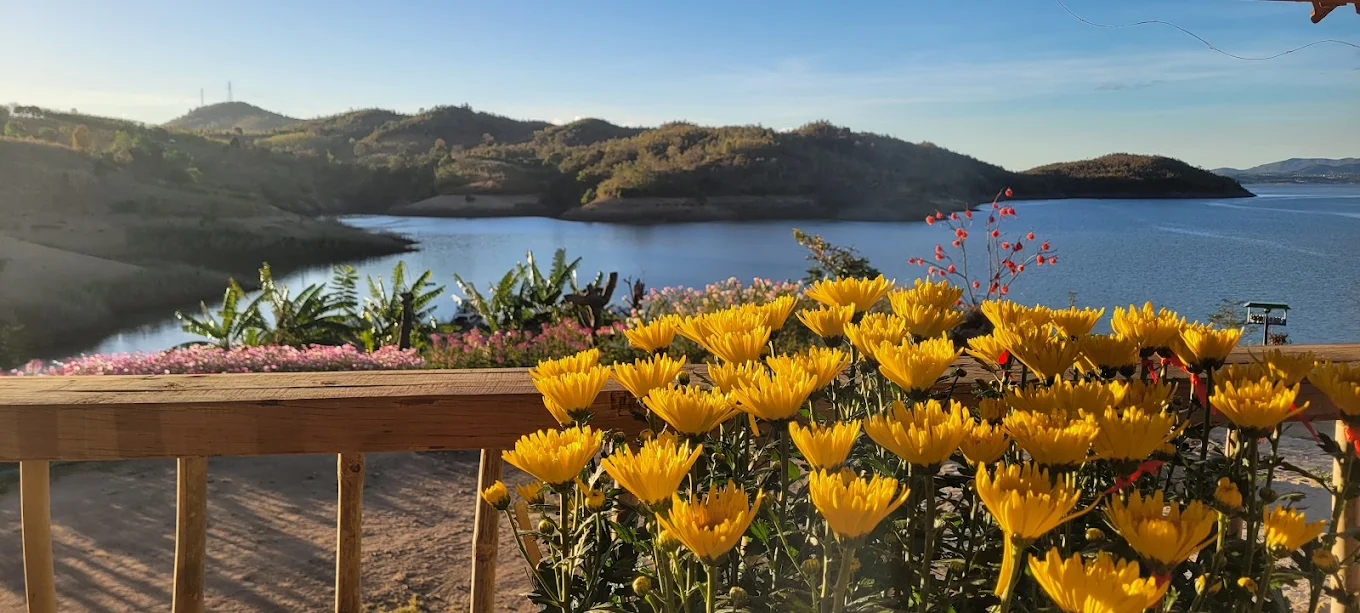 Góc nhìn từ hiên nhà gỗ – hoa cúc vàng rực và mặt hồ sâu thẳm phía xa.