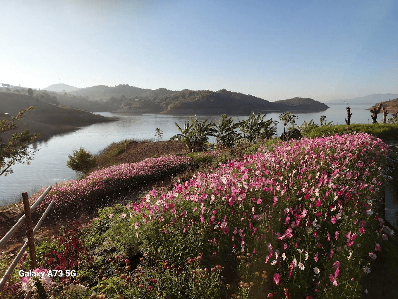 Một thảm hoa rực rỡ đón ánh nắng đầu ngày - nơi chụp ảnh cưới, ảnh kỷ niệm đầy thi vị.