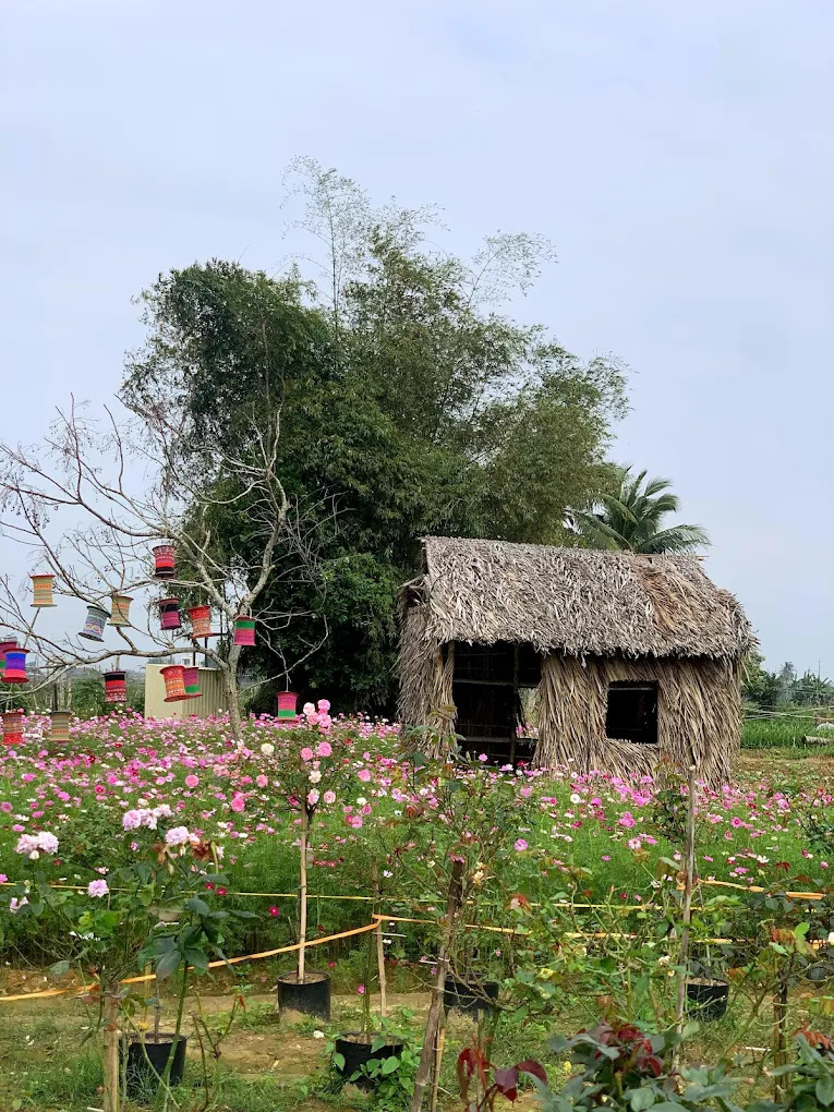 Góc nhỏ mộc mạc với nhà tranh và giàn hoa, mang lại cảm giác thanh bình và gần gũi.