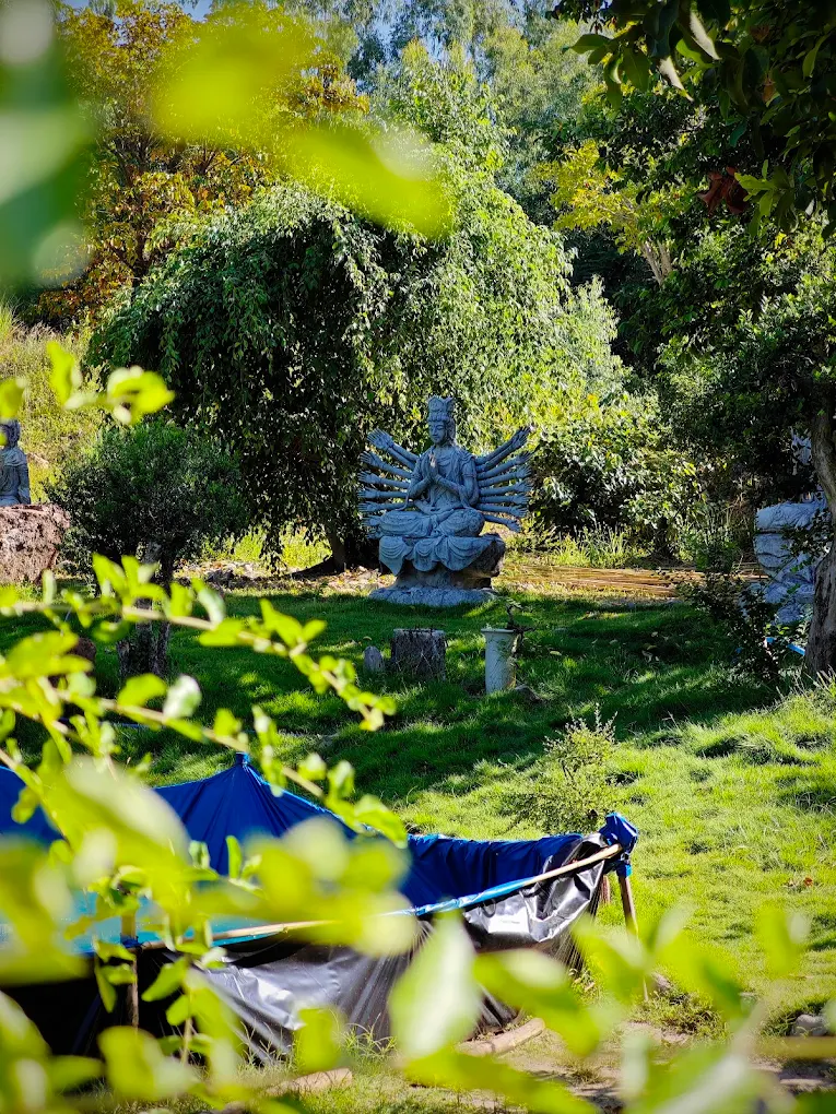 Bức tượng Phật nghìn tay ẩn hiện giữa tán cây rậm rạp tạo nên khung cảnh trầm mặc và linh thiêng.